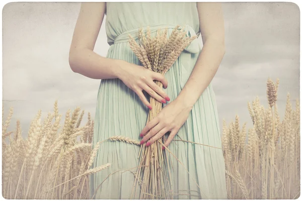 Vrouw met sommige maïs spikes — Stockfoto