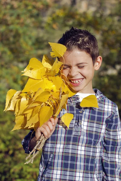 Smiling boy with yellow leaves — Stock Photo, Image