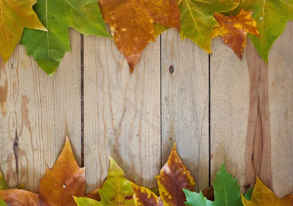 Herfstbladeren — Stockfoto