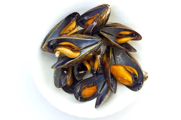 Cooked mussels Royalty Free Stock Photos