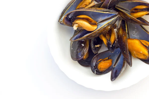 Cooked mussels Stock Picture