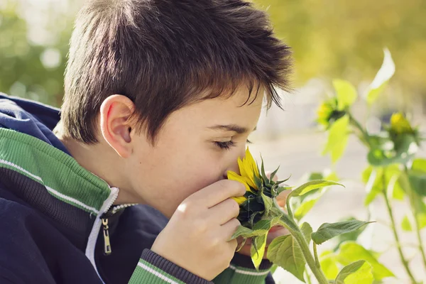 Child with sunflower — Stock Photo, Image