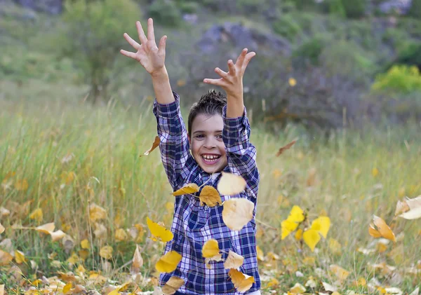 Hösten är här! — Stockfoto