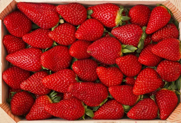 Group of fresh strawberries — Stock Photo, Image