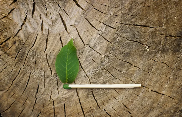 ormanda ateş yakma!