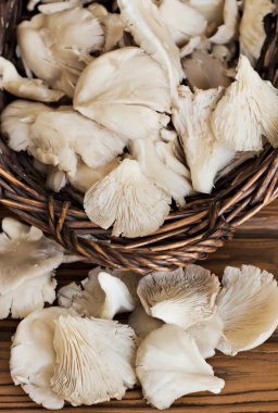 hasır sepet içinde mantar