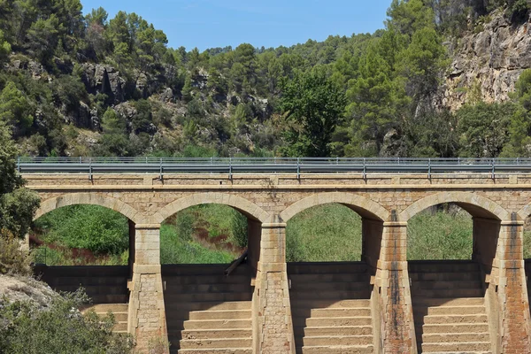 Brücke und Wald — Stockfoto