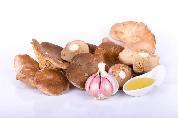 Champiñones de ostra — Foto de Stock