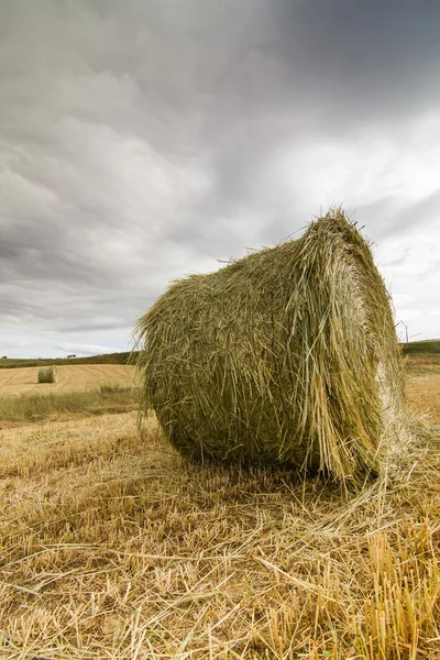 Sonra hasat saman balya — Stok fotoğraf