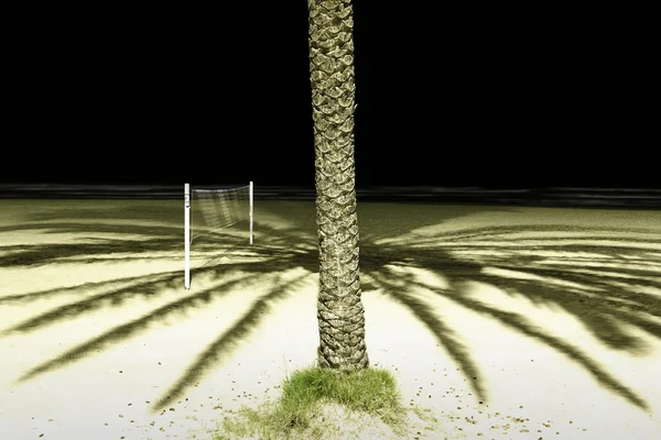 Volleyball net under a palm tree at night — Stock Photo, Image