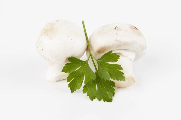 Two mushrooms with a sprig of parsley — Stock Photo, Image