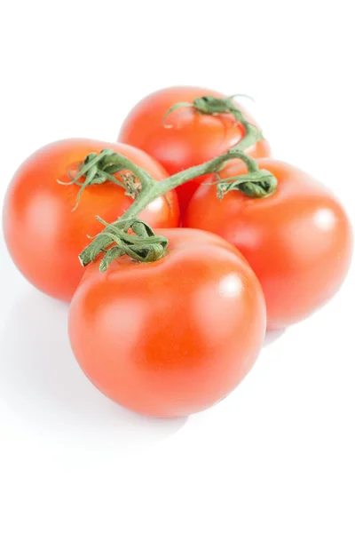 Tomates de videira em fundo branco — Fotografia de Stock
