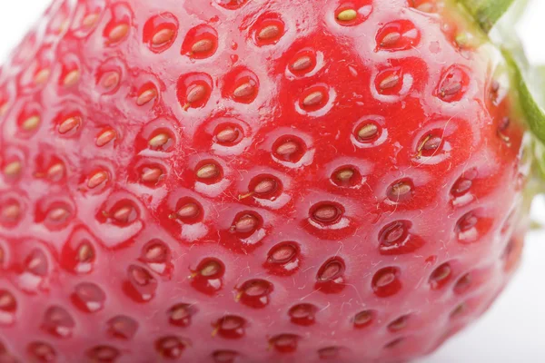 Fraise mûre sur fond blanc — Photo