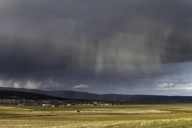 buğday Storm