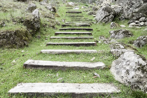 wooden steps in the grass