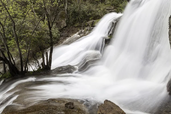Wasserfall im Frühling — Stockfoto