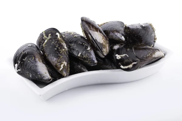 Mussels on white background — Stock Photo, Image