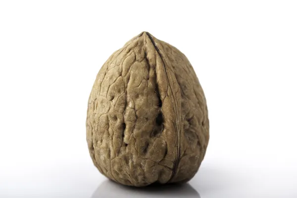 Walnut on white background — Stock Photo, Image