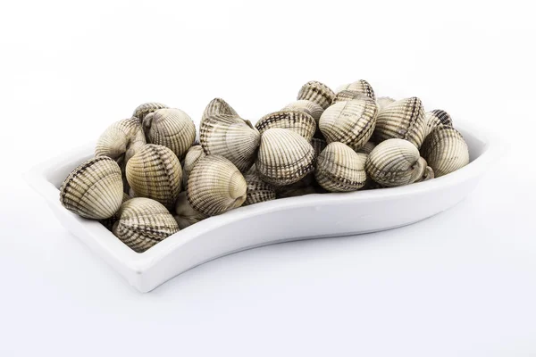 Cockles on a plate on white background — Stock Photo, Image