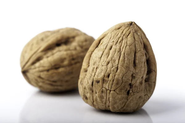 Nuts on white background — Stock Photo, Image