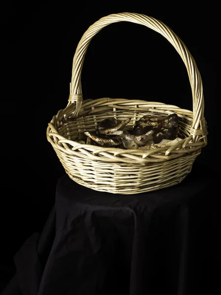 Oyster mushrooms in a wicker basket — Stock Photo, Image