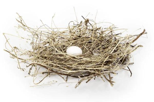 Un uovo nel suo nido — Foto Stock