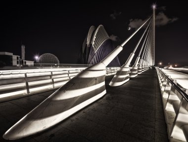 kleine balerinasSanat ve bilim, valencia şehir