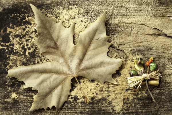 Conceptual image about autumn — Stock Photo, Image