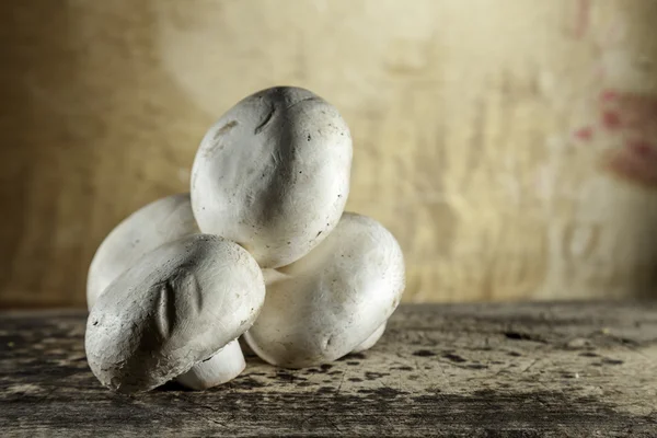 Freshly caught raw mushrooms — Stock Photo, Image