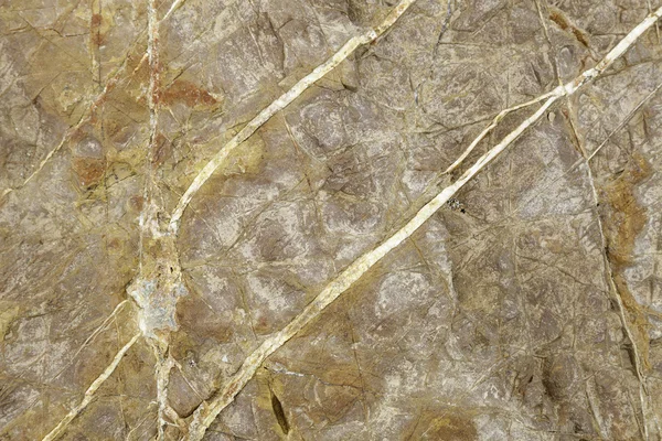 Limestone rock texture — Stock Photo, Image