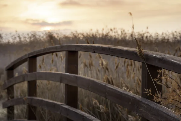 Evening falls in the marsh of the Moor — Stock Photo, Image