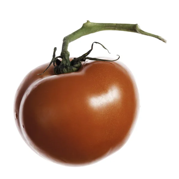 Tomatenzweig — Stockfoto