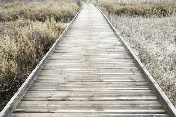 Wooden path — Stock Photo, Image