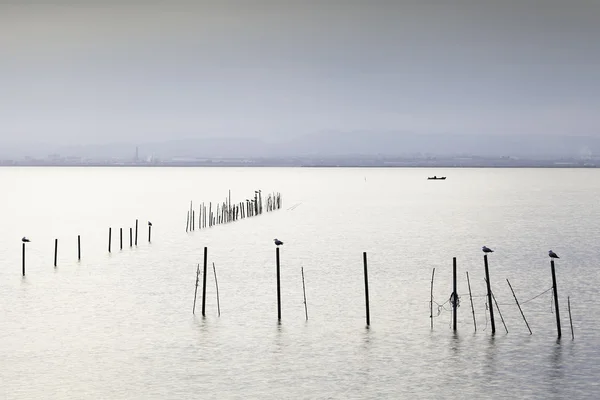 Meer van Albufera van valencia Spanje wetlands in het Middellandse-Zeegebied — Stockfoto