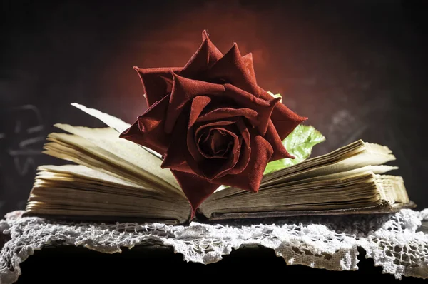 Czerwona róża na starej książki — Stockfoto