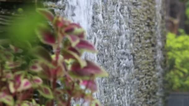 L'eau coule 