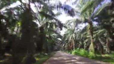 seyahat araba