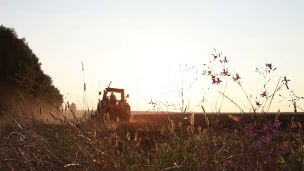 Tractor en un campo — Vídeos de Stock