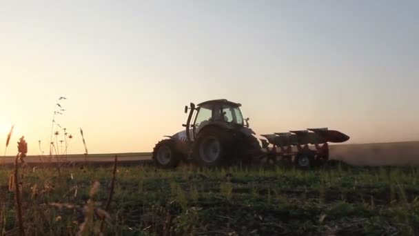 Traktor pflügt Feld um — Stockvideo