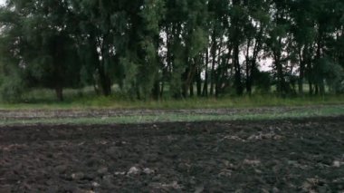 Traktör sürme alan gün batımında