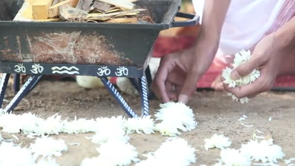 Brahmane dépose des fleurs lors de la cérémonie indienne — Video