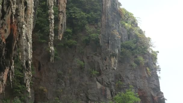 Falésias com cavernas e árvores — Vídeo de Stock