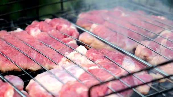 Carne fresca de porco preparada em grelha de ferro no braseiro quente — Vídeo de Stock
