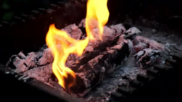 Oranžové jazyky ohně hoří v železném pánvi šířícím kouř — Stock video