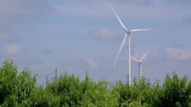 Rüzgar türbinleri yeşil ağaçların arkasında enerji üretir.