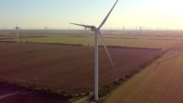 Molinos Viento Producen Energía Eléctrica Limpia Campo Día Soleado Poderosos — Vídeo de stock