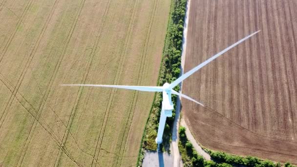 Los Generadores Eólicos Proporcionan Electricidad Estación Rural Sobre Árboles Frondosos — Vídeo de stock