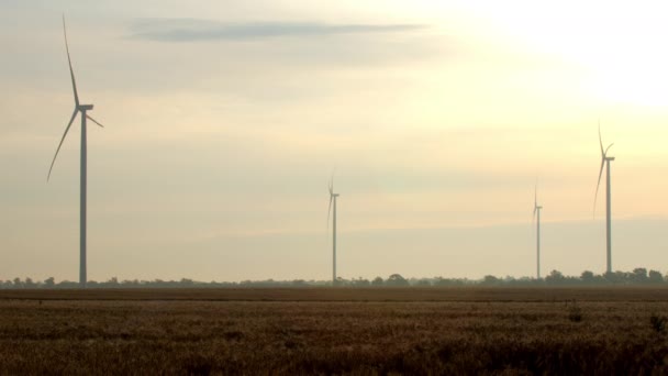 風力発電機は 地方の環境に優しい駅で再生可能エネルギーを生産する 大きなプロペラが日の出に曇り空に対してフィールドに回転します — ストック動画