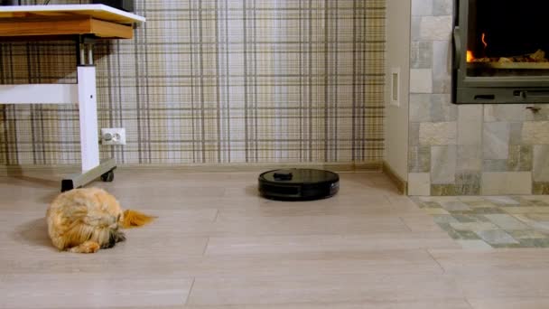 Vácuo Robô Limpa Chão Sujeira Sala Estar Com Perto Lareira — Vídeo de Stock