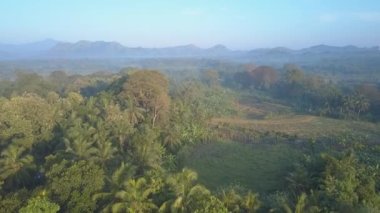 Dev dağlara karşı Udawalawe Ulusal Parkı 'ndaki yemyeşil ağaçlar ve muz çiftliği. Tropikal Sri Lanka hava manzaralı doğal rezervasyon